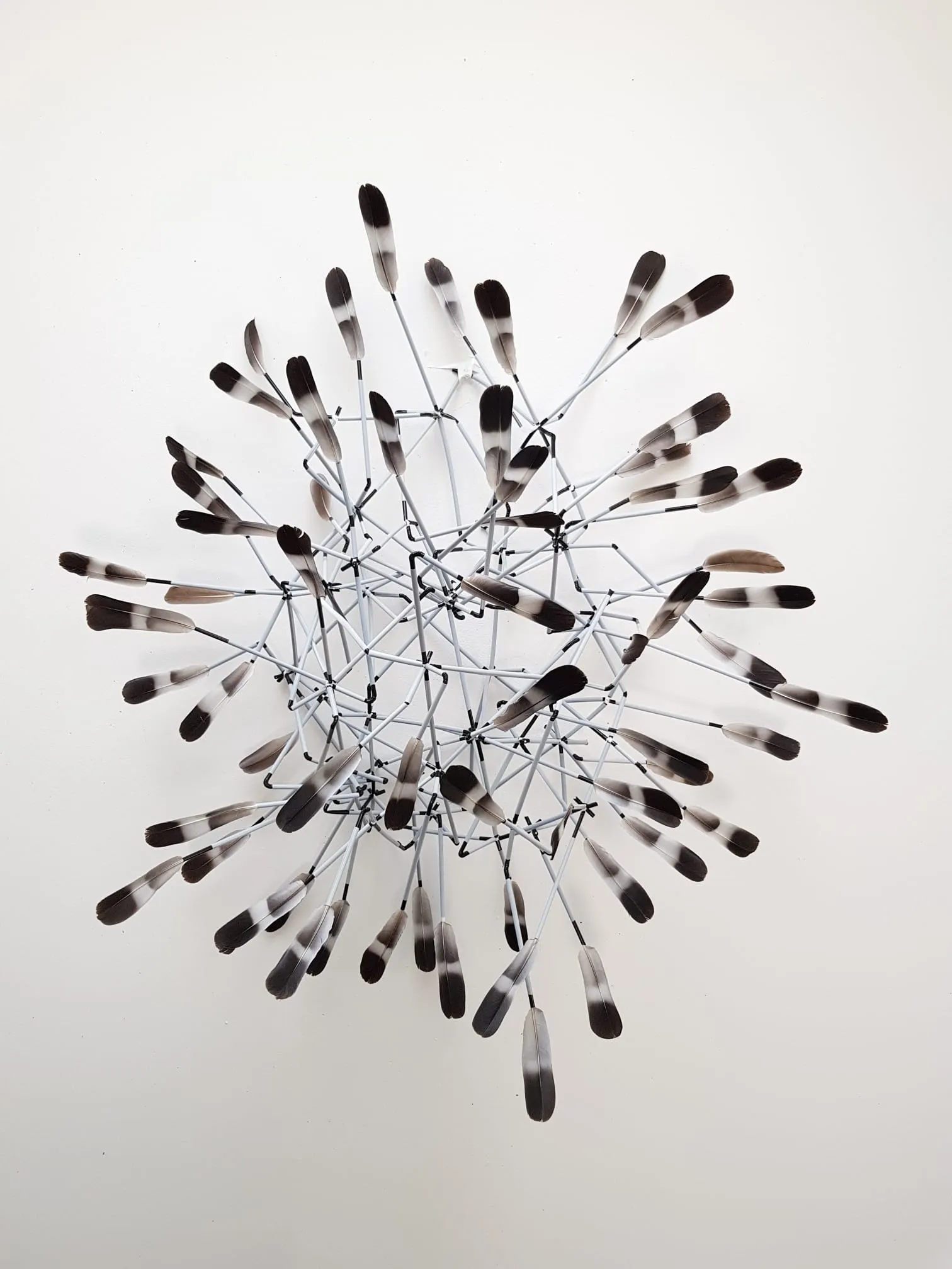 Christa Winter, Tetrapoda, 2018