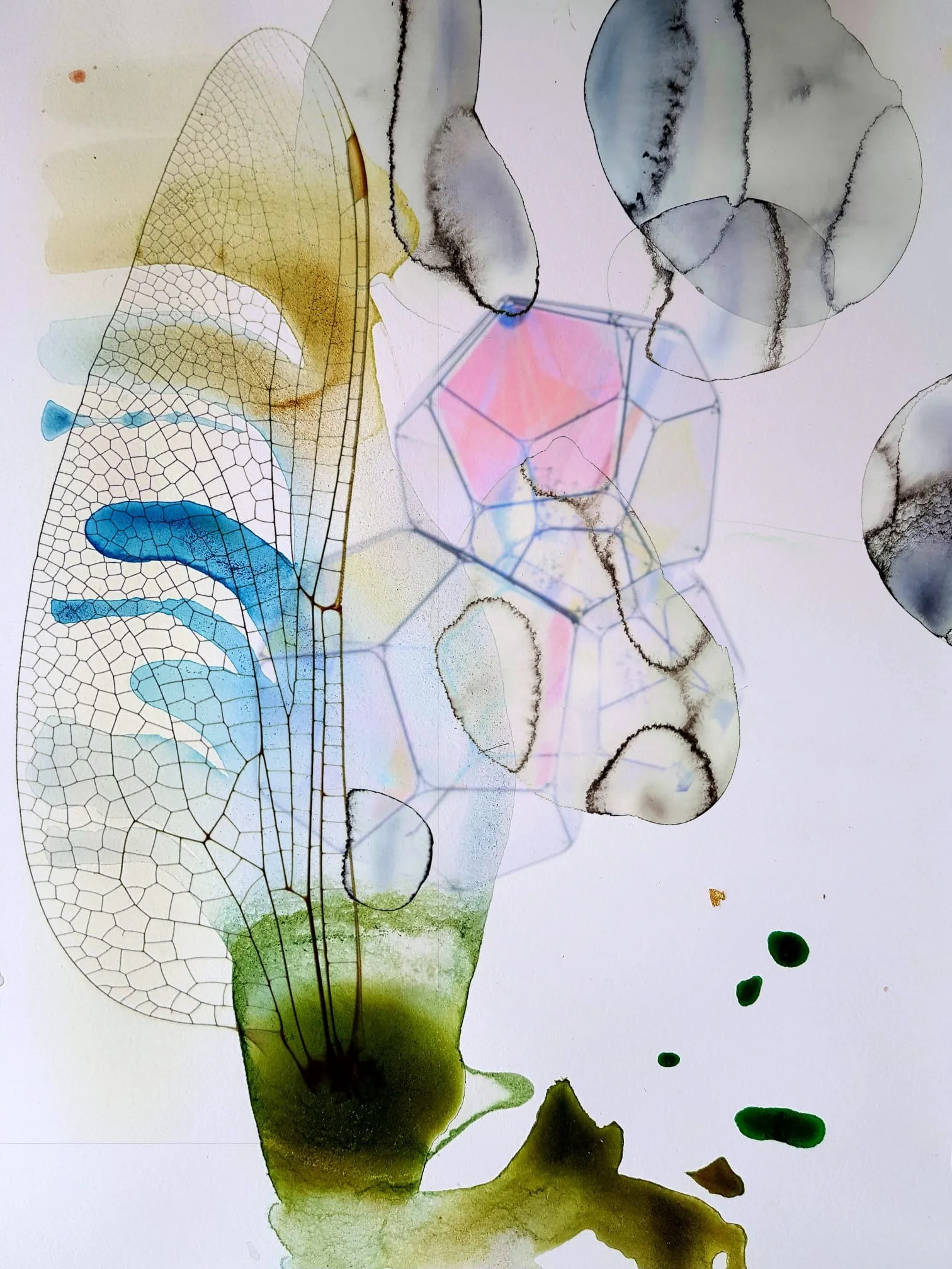 Christa Winter, Odonata, 2020