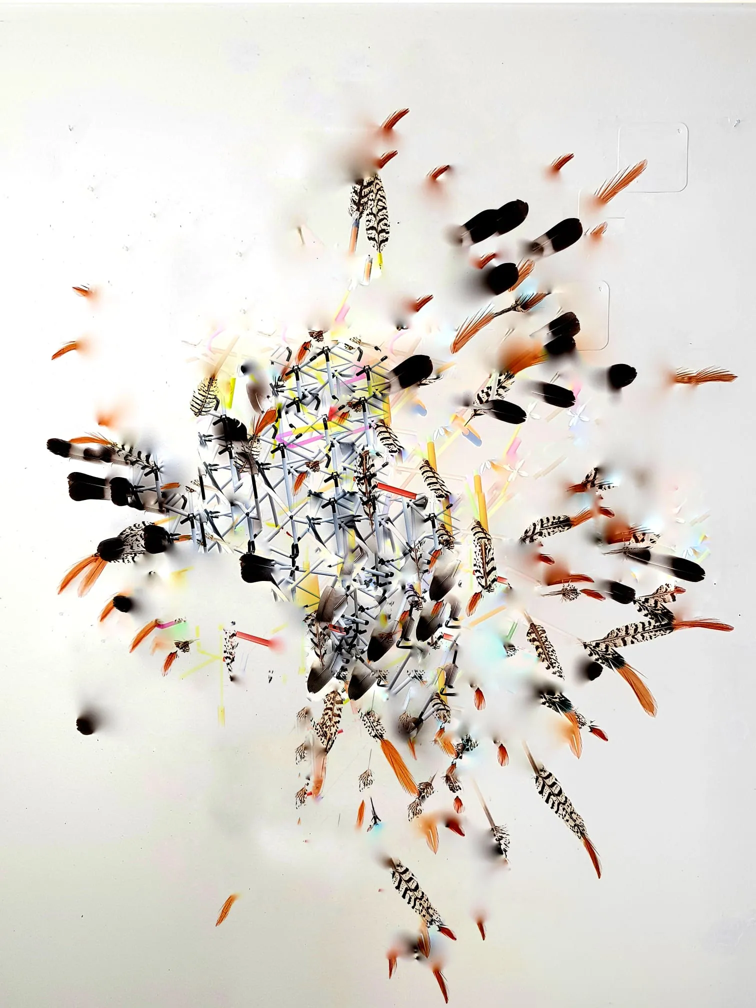 Christa Winter, Collage mit Federn