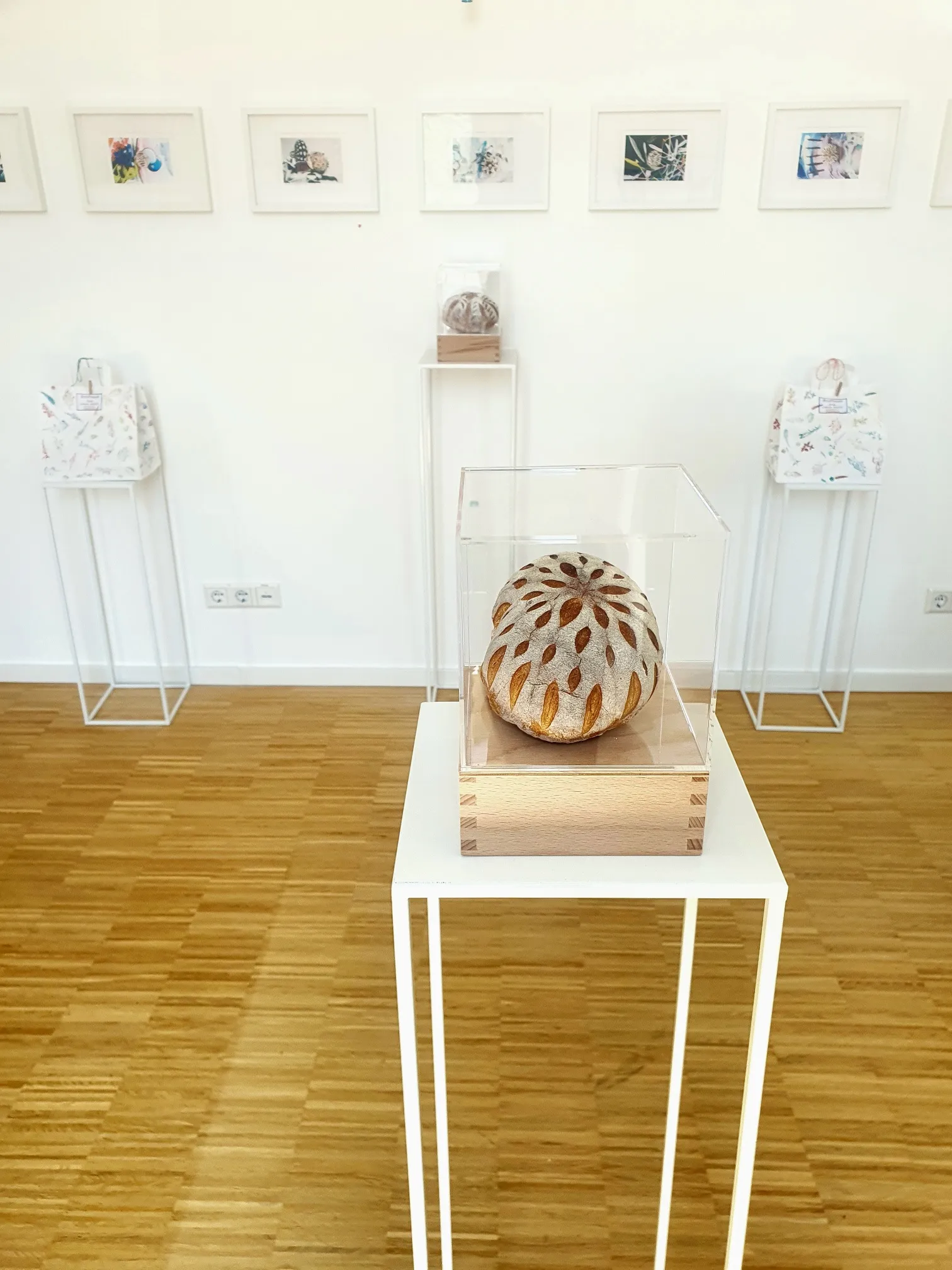 Christa Winter, BrotPoesie, Ausstellungsansicht