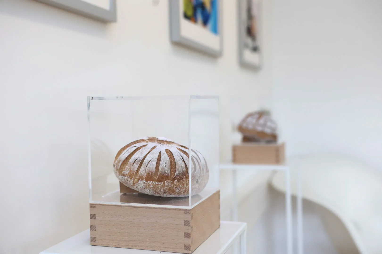 Christa Winter, BrotPoesie, Brotobjekt in Acrylglashaube