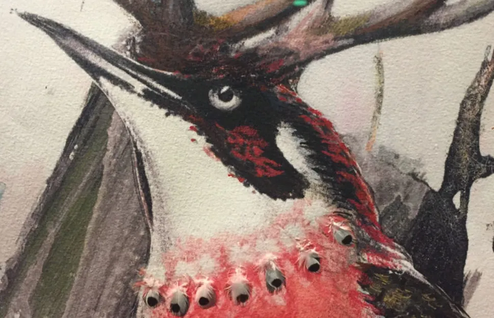Christa Winter, Waldrausch, Detail (Vogelkopf)